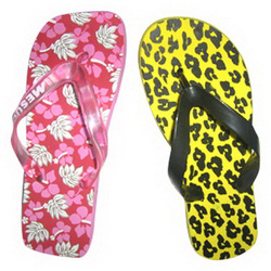Flip Flops Flip Flops